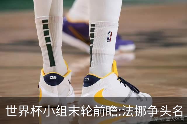 世界杯小组末轮前瞻:法挪争头名 西班牙仍不稳