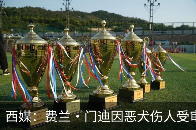 西媒：费兰·门迪因恶犬伤人受审，检方要求处以罚款和半年监禁